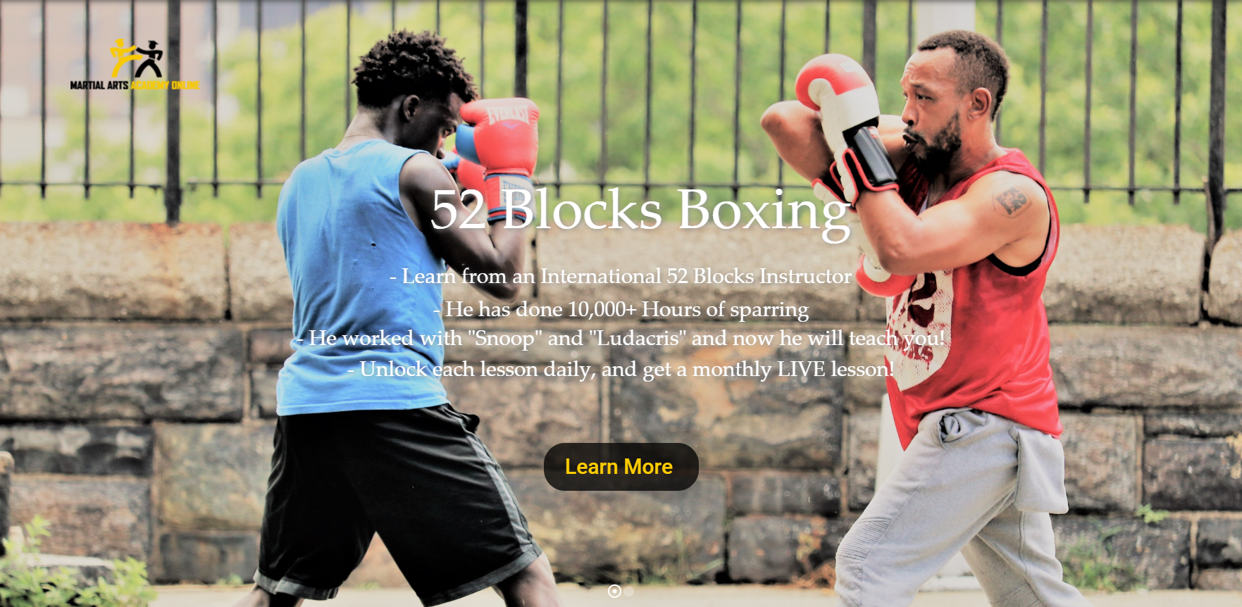 Custom Wordpress Plugin for Martial Arts Academy