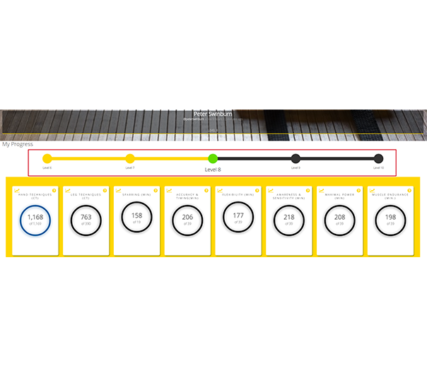 Martial Arts Categories